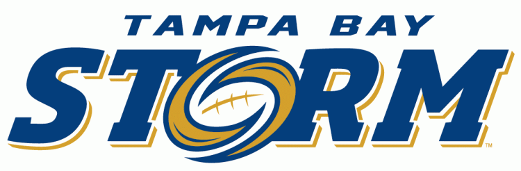 Tampa Bay Storm 2012-Pres Primary Logo t shirt iron on transfers